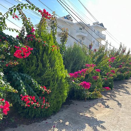 Villa Nicolaos คซามิล ภายนอก รูปภาพ