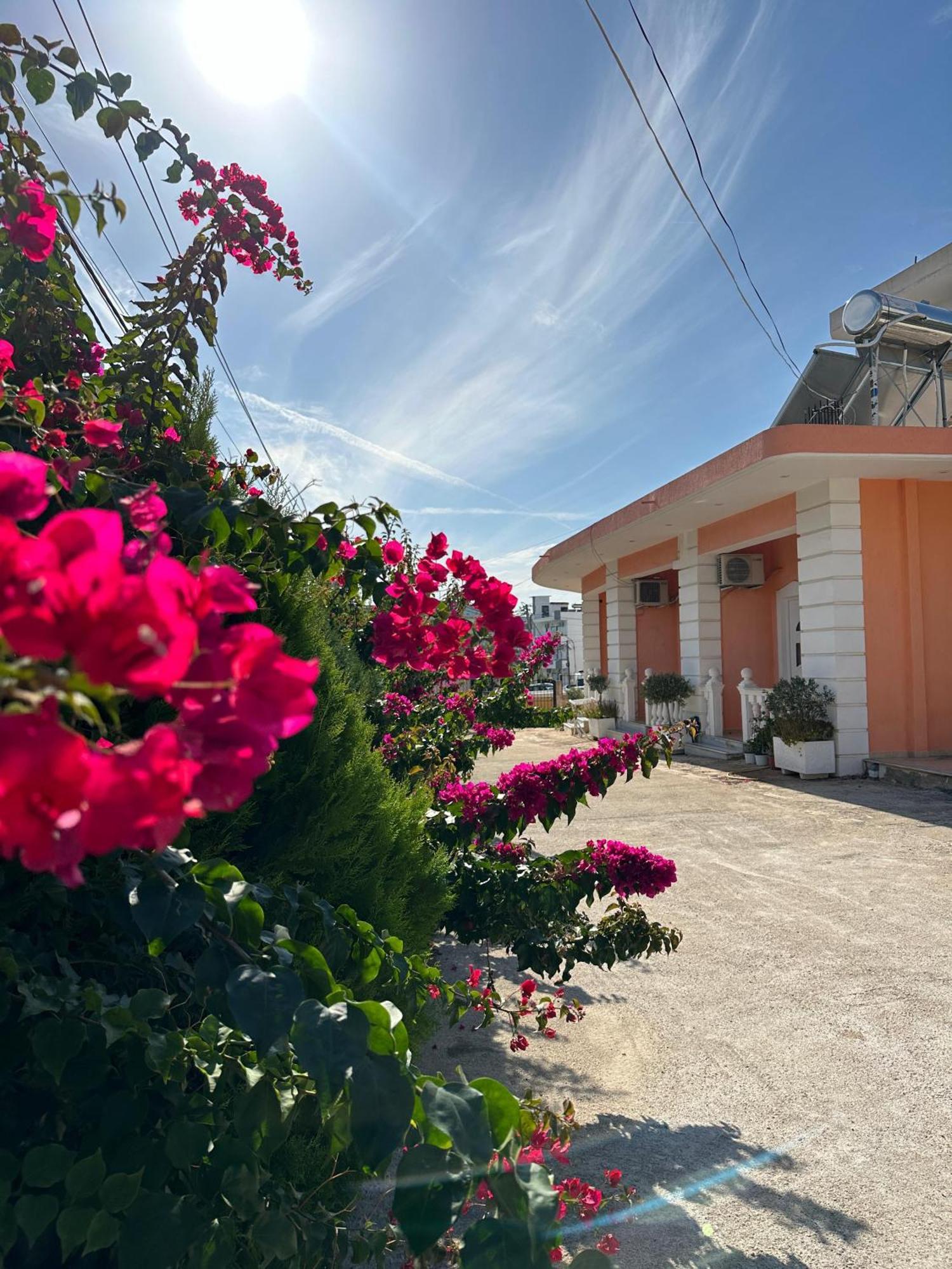 Villa Nicolaos คซามิล ภายนอก รูปภาพ